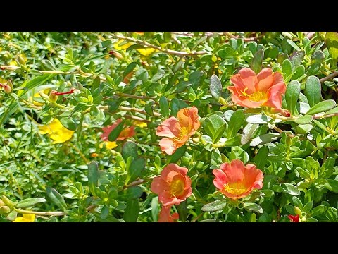 Chia sẻ tiết ngắt điện tháng 6al