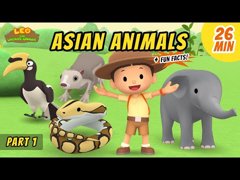 Witness21 Editor  2020 11 05