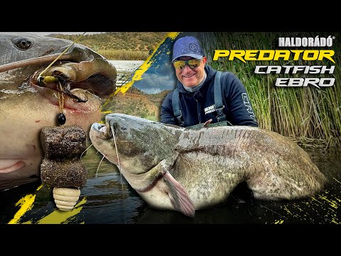 Döme Gábor - LEGENDÁS HARCSÁS VIZEKEN 2. rész - Pelletes harcsahorgászat az Ebro folyón