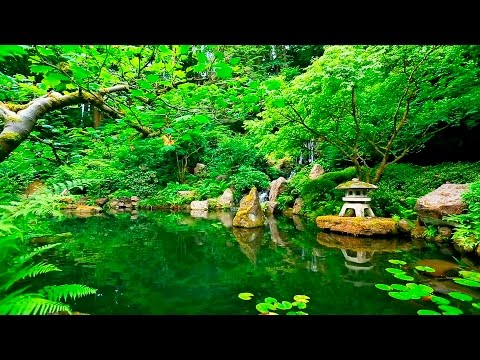 Deep Sleep Music and Nature Sounds - Zen Garden HD Relaxing