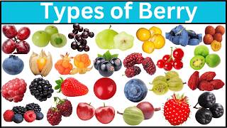 Types of Berries | 60 Varieties Most People Don't Know About