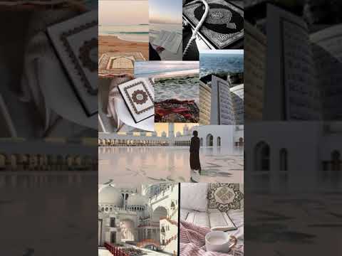 Free souls - single (free bird)