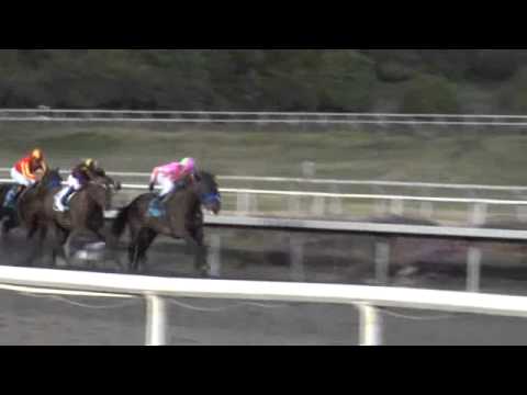 Cash Call Futurity 2011