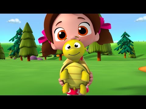 Niloya - Tospik 🐢