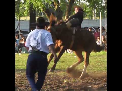 Broche de oro EL BIENVENIDO en la 4º Fiesta de la Tradición en Crespo Entre Rios