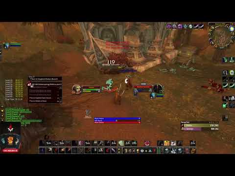 Rogue and Paladin World first 60 lvl - Tactics point of view