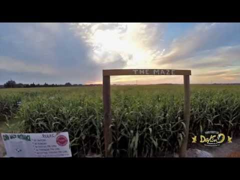 Dakin Dairy Farms  " Myakka City Fl "