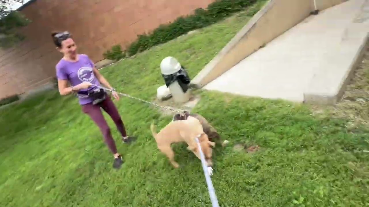 Genoa's Leash Test