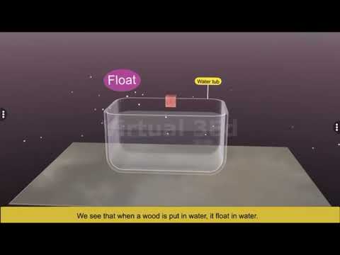 Objects Float or Sink in Water
