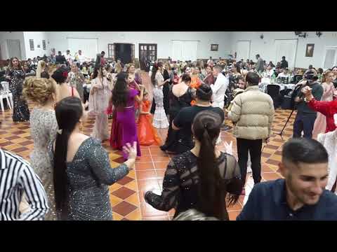 Copilul de Aur, Alex Kojo & Adi de Adi - Nunta Maria & Fernado