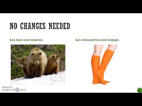 French colors + adjective agreement and placement