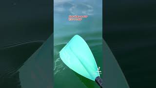 初めてのSUPに挑戦！Trying out SUP for the first time!  #standuppaddle #firsttime #challenge #サップ #はじめて