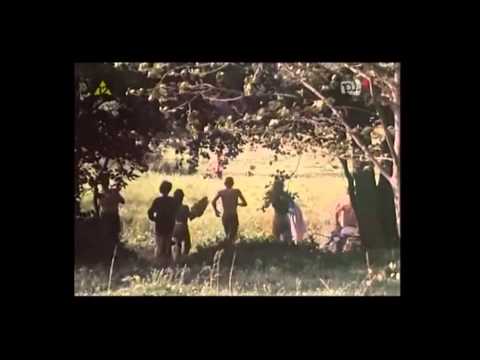 Brygada Kryzys - Wracamy do raju