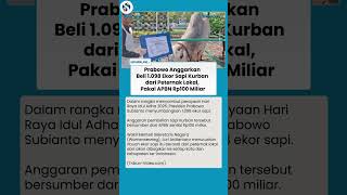 Presiden Prabowo Sumbang 1.098 Sapi Kurban Rp100 M dari APBN,  Dibagikan Merata ke Setiap Kota