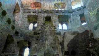 preview picture of video 'Rund um die Burg Frankenstein in der Pfalz'