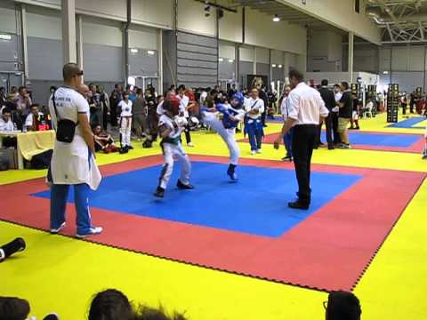 CAMPIONATO ITALIANO WTKA ROMA 01.06.2014