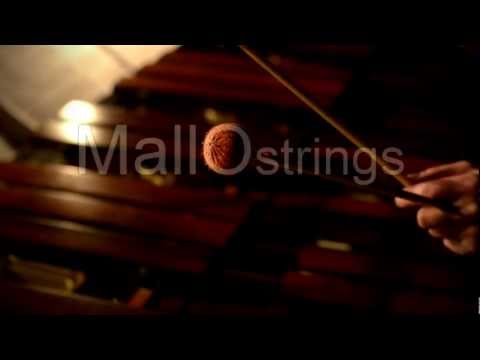 MalloStrings