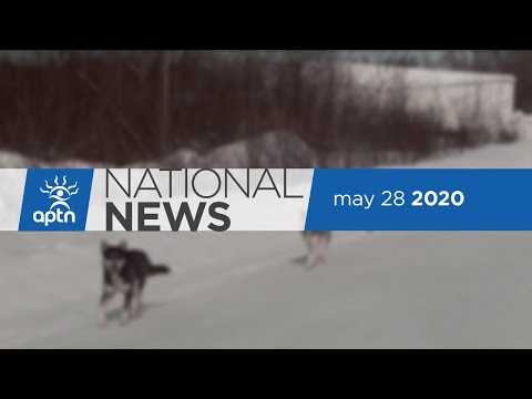 APTN National News May 28, 2020 – Human trafficking survivors, Cat Lake music video