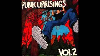 "Brand New Day" by Disenchanted (Punk Uprisings Vol. 2)