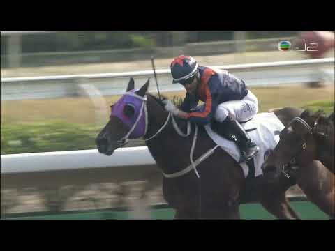 2021/22 (264) - Flying Dragon (龍騰飛翔) - 梁家俊 (平頭第二)