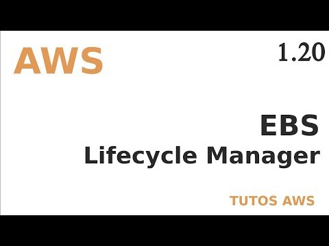 AWS 20 EBS LIFECYCLE MANAGER