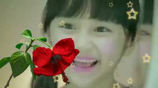 Download lagu yaar tera shukriya full song mp3 Download lagu yaar tera shukriya full song mp3