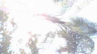 SPAM - 25 Words or Less