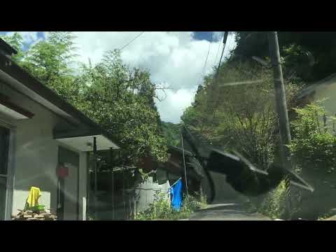 [Driving In Japan]Dangerous Narrow Rode sumitratakita
