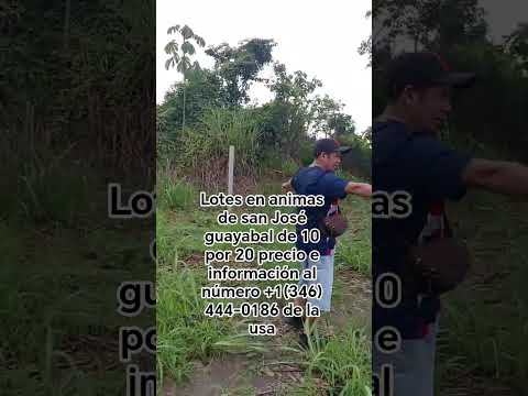 Lotes en animas de san José guayabal... número del dueño 1+(346) 444-0186 en la usa