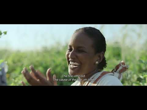 #TIFF66 | Cotton Queen [INTERNATIONAL COMPETITION]