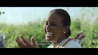 #TIFF66 | Cotton Queen [INTERNATIONAL COMPETITION]