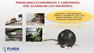 Miniatura del video
