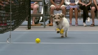 Venus Williams and The Best Ball Boys in the World | ASB
