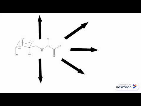 How boring bread turns into tasty toast? The Maillard reaction explained.