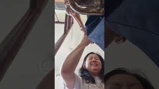 Aunt Ing pray for Siew Woei 28 April 2025