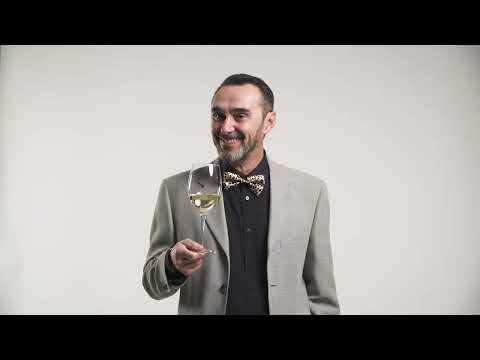 Giacobazzi Vino 8 v1