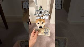 FPが考えた「犬を飼うための節約術5選」💰いろいろ削減した結果、官兵衛にはおいしいものをたくさん🐕✨そして最後は、なぜか私にもご褒美が…😂これ、本当に節約になってる？#犬 #柴犬 #しばいぬ