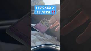 I Packed A JELLYFISH! Pokemon White Flare Pack Opening! #pokemoncards #pokemontcg #pokemon