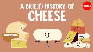 A brie(f) history of cheese - Paul Kindstedt...