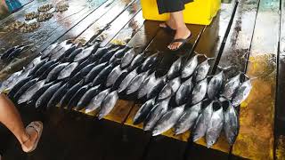 preview picture of video 'Part 1- Fish Market / Pasar Ikan Anambas - Kepulauan Riau'