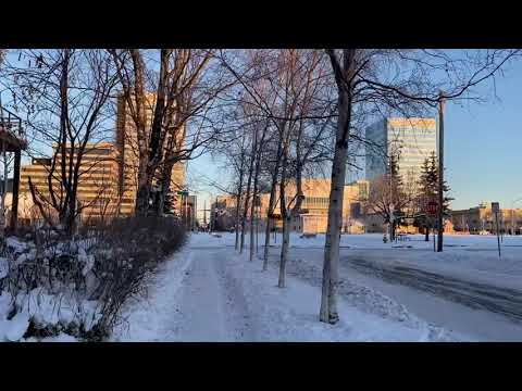 Saturday 2021 Alaska is too cold 7F/Downtown anchorage Alaska