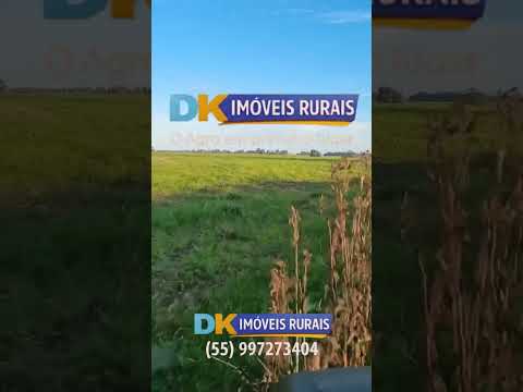 🚜 Fazendas à Venda e Arrendamento no RS | Oportunidades para Investidores e Produtores 🌾