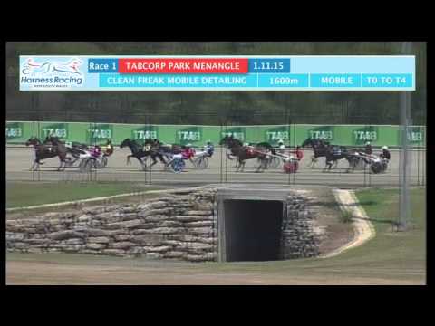 TABCORP PK MENANGLE - 01/11/2015 - Race 1 - CLEAN FREAK MOBILE DETAILING TROTTING MARES