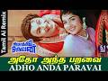 MGR S Atho Antha Paravai Pola AI Version Tamil AI Remix 2026