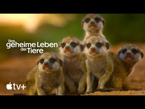 Trailer-Vorschau: Das geheime Leben der Tiere