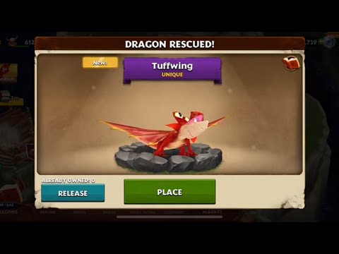 Rise of Berk ep.10 tuff wing and some brawls