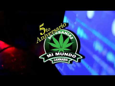 Neto Reyno en el 5to aniversario de la Marca Mi Mundo Cannabis