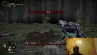 [閒聊] 艾爾登法環 挑戰獵犬騎士