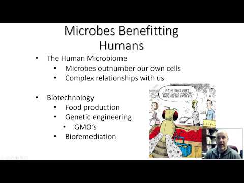 BIO 220 - CHAPTER 1 - VIDEO 3 - MICROBES AND HUMANS