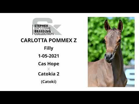 Carlotta Pommex Z